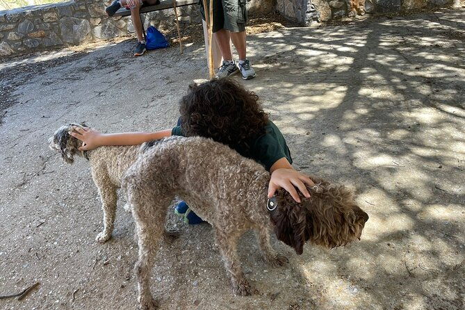 truffle-hunting-culinary-wine-celebration-from-heraklion