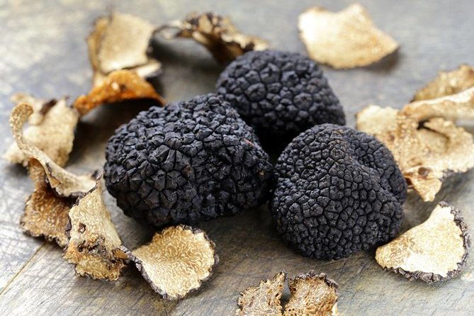 truffle-hunting-with-tasting-included-umbria-italy