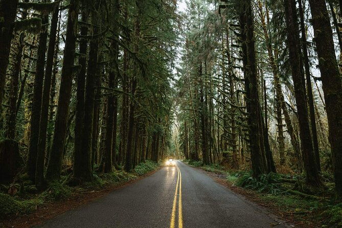 twilight-forks-washington-tour
