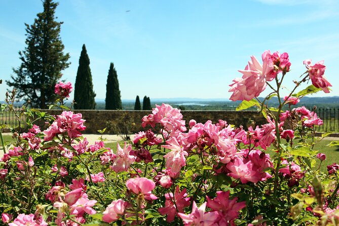 two-intensive-days-discover-exceptional-wines-of-the-rhone-valley