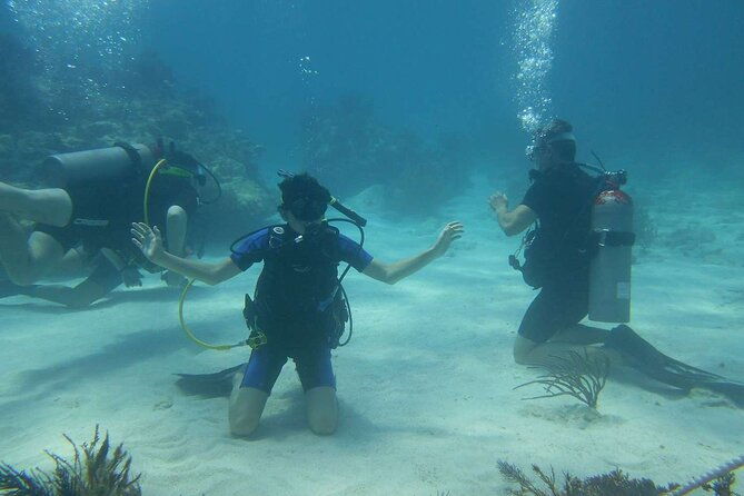 two-tank-dive-in-montego-bay-w-certified-divers