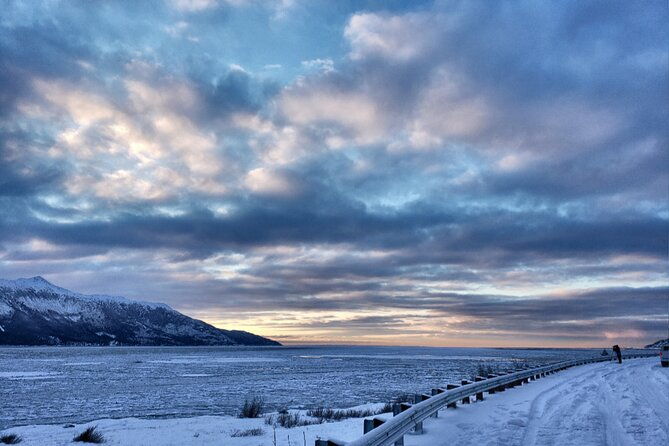 ultimate-anchorage-winter-wildlife-sunset-tour