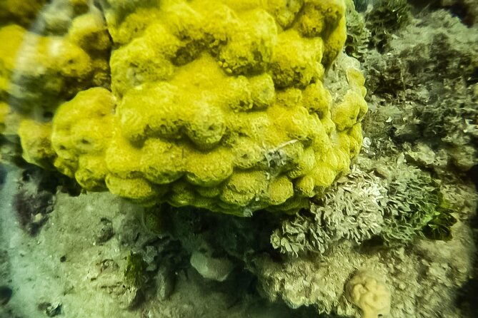 under-a-sea-of-adventures-unforgettable-diving