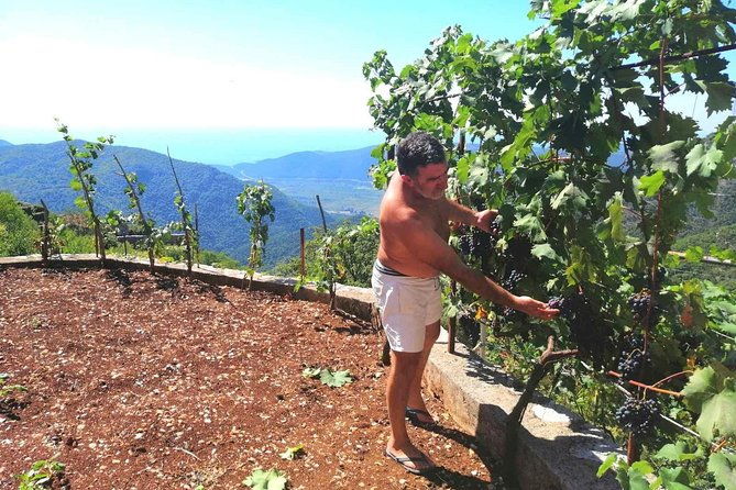unique-lunch-experience-with-locals-in-high-hills-above-budva