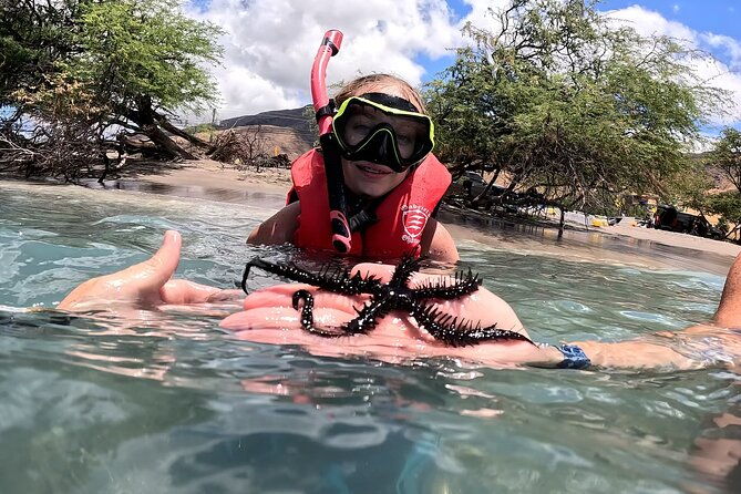 unlimited-guided-snorkeling-tour-for-beginners-plus