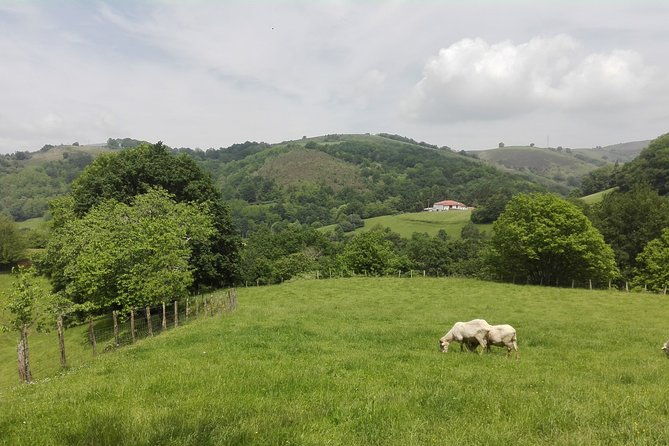 unspoiled-french-basque-countryside-private-cultural-adeventure