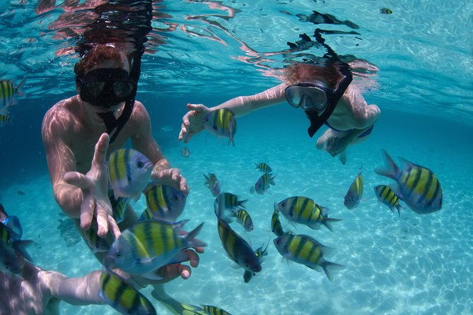 up-to-15-pax-private-catamaran-sailing-adventure-from-punta-cana