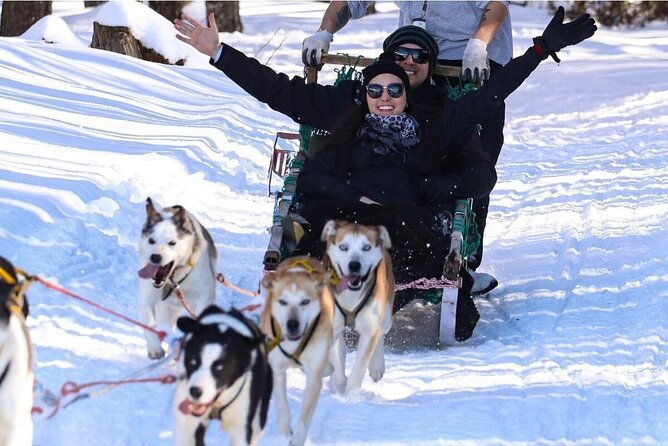 ushuaia-white-adventure-in-sleighs-with-huskys