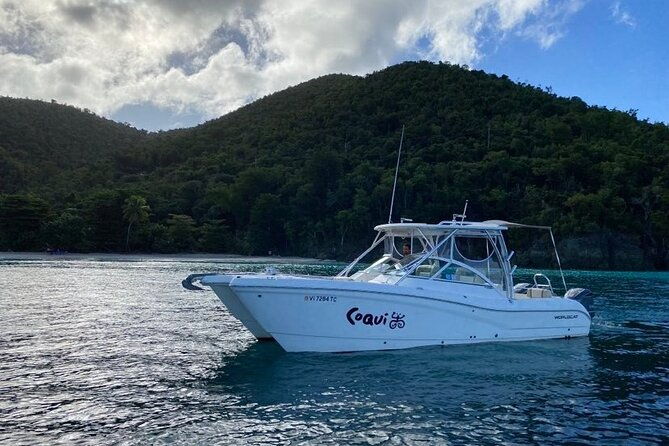 usvi-private-charter-aboard-coqui-up-to-8-guests