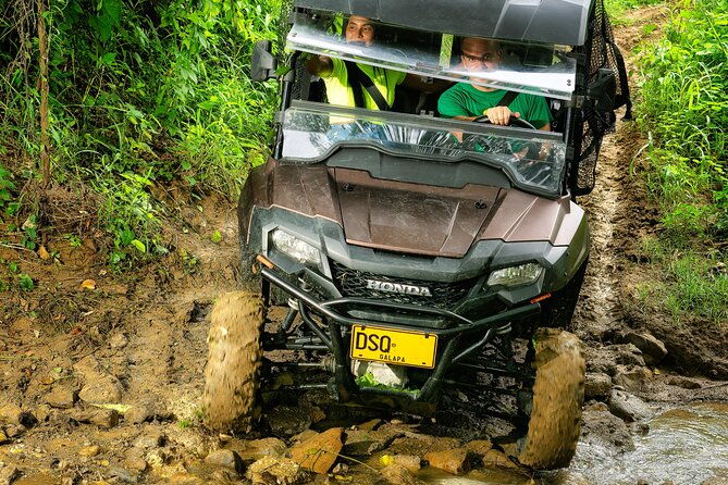 utv-safari-explore-wildlife-and-mountains-in-a-nature-reserve