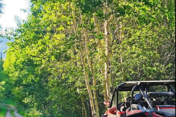 utv-tour-of-sawtell-peak-2