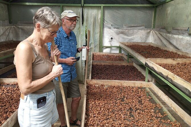 uvita-chocolate-tour