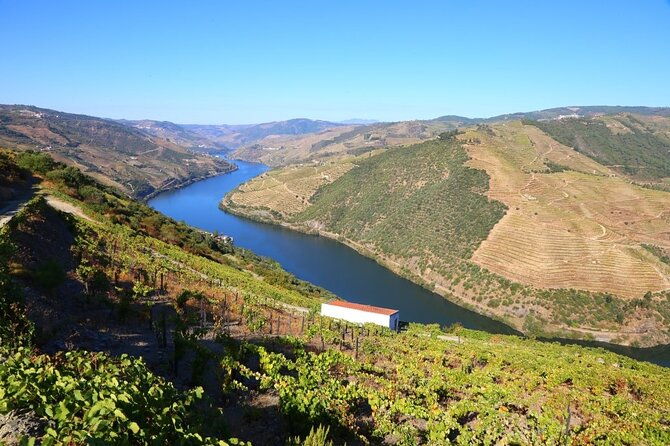 valenca-do-douro-walking-tour