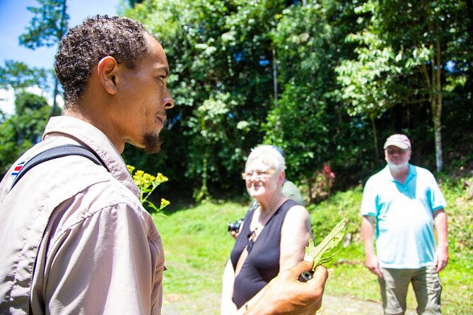 veragua-rainforest-walk-tram-tortuguero-boat-tour-limon-shore-excursion
