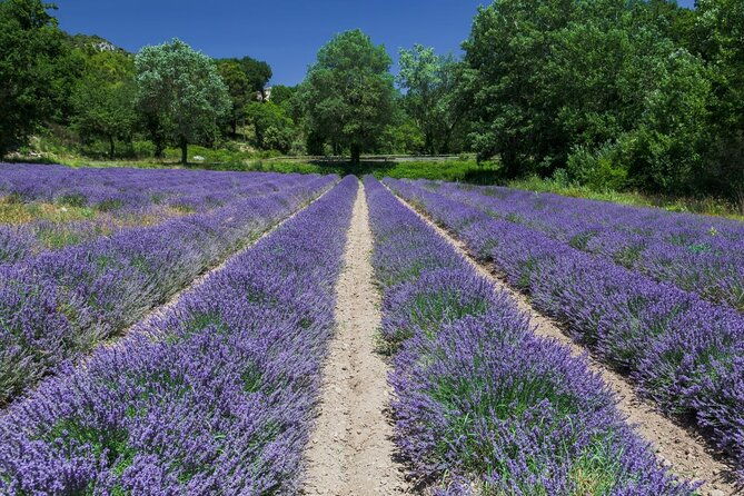 verdon-canyon-and-its-lake-full-day-tour