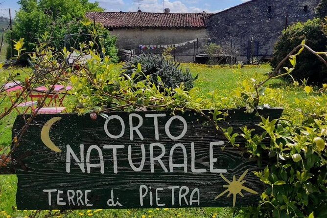 verona-cellar-tour-and-tasting-of-natural-wines