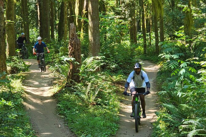 viator-exclusive-half-day-mountain-bike-tour-from-seattle