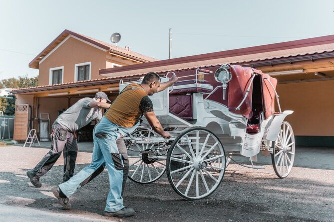vienna-horse-drawn-carriage-guided-tour