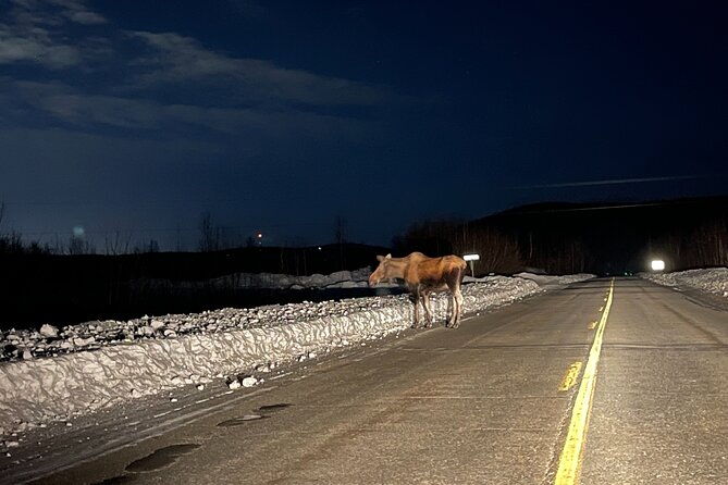 vip-aurora-adventure-from-fairbanks-2