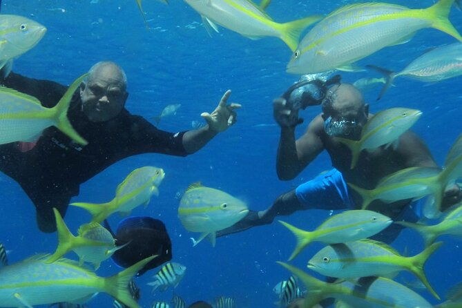vip-fascinating-boat-ride-snorkeling-at-sosua-bay