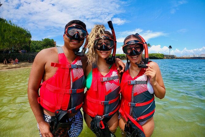 vip-san-juan-snorkeling-tour-with-turtles-with-free-videos