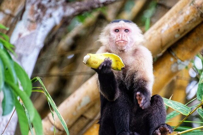 visit-the-indians-and-discover-the-rainforest