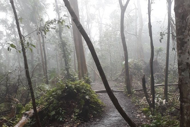 volcano-crater-hiking-tour-in-st-kitts