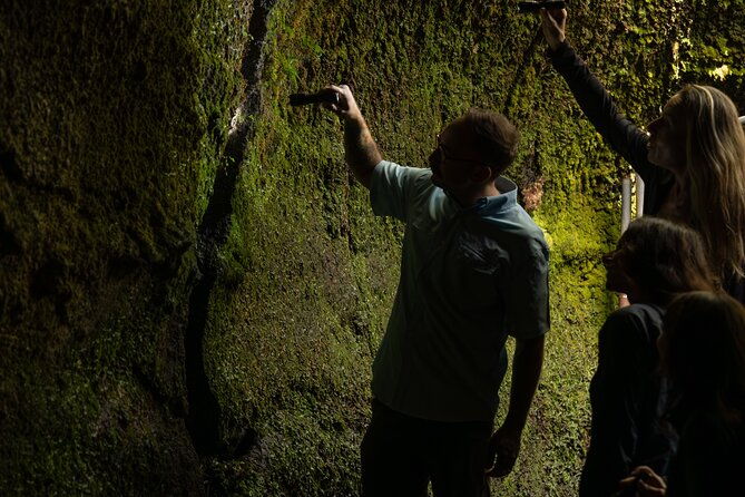 volcano-explorer-tour-2