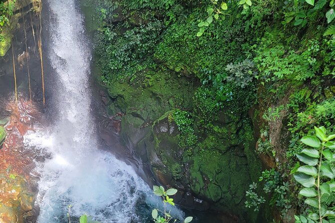 volcano-hike-oropendola-waterfall-hot-springs-experience