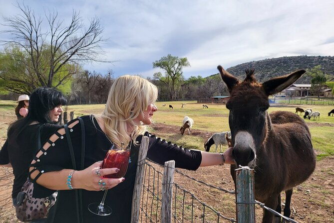 voted-best-in-sedona-cheapest-private-wine-tour-in-town-2