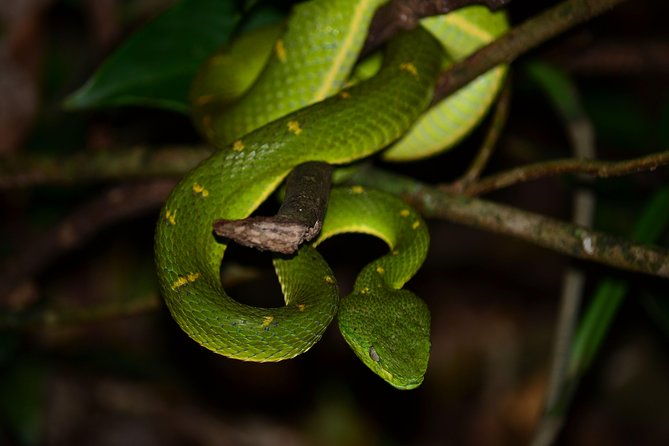 walk-in-santa-elena-cloud-forest-reserve