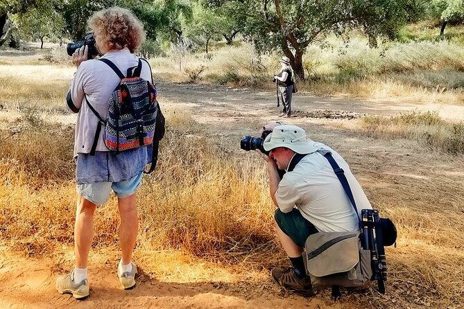 walk-on-the-alentejo-cork-forest-with-optional-lunch