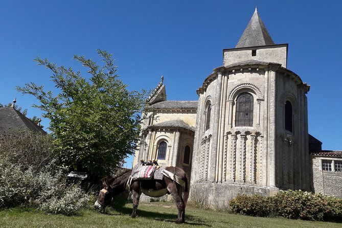 walks-and-hikes-with-donkeys
