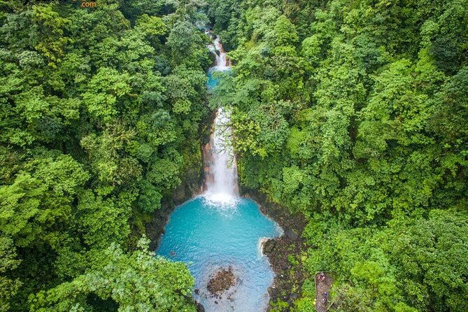 waterfall-sloth-expedition-frogs-blue-river-also-in-costa-rica-and-nicaragua