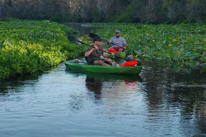 wekiva-wildlife-kayaking-adventure-tour
