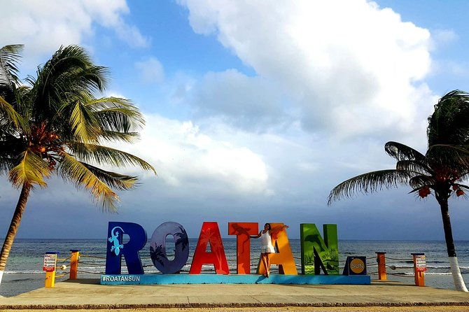 west-end-tour-choco-factory-rum-company-art-gallery-rusty-fish-and-more