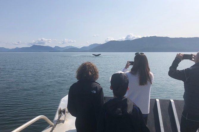 whale-watching-charters-and-bear-search-through-icy-strat-alaska