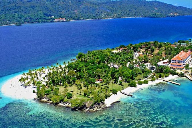 whale-watching-in-samana