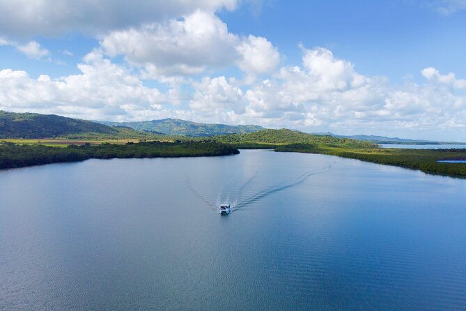 whale-watching-tour-with-la-farola-bacardi-island