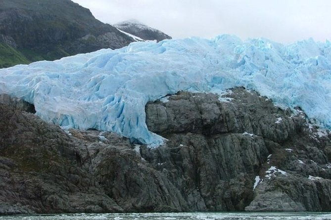 whales-penguins-glaciers-navigation-from-punta-arenas