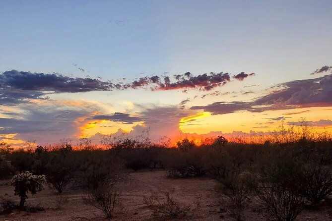 when-nature-calls-exploring-the-sonoran-desert-2