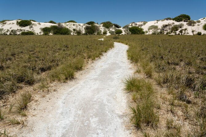 white-sands-national-park-self-guided-driving-walking-tour