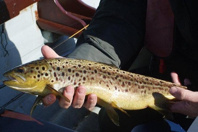 wild-brown-trout-fishing-lough-corrib-french-speaking-ghillie-guide-full-day