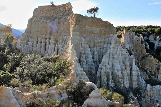 wild-organs-grand-landscape-plants-geology-birdsongs-3