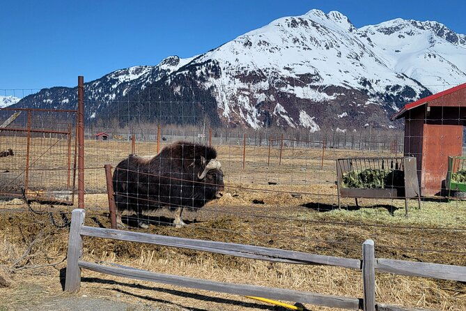 wildlife-center-with-lunch-local-beer-sampling-wintersummer