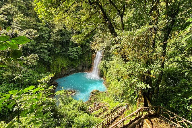 wildlife-nature-hike-blue-waterfall-lunch-sloth-trail-tenorio-volcano-park