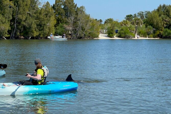 wildlife-refuge-dolphin-manatee-mangrove-kayak-or-paddleboarding-tour