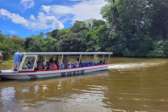 wildlife-waterways-jaguar-rescue-tortuguero-canals-tour