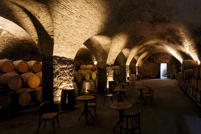 wine-cellar-tasting-in-montevideo-with-outstanding-lunch