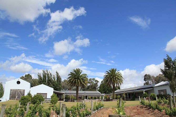 wine-lovers-bodega-garzon-experience